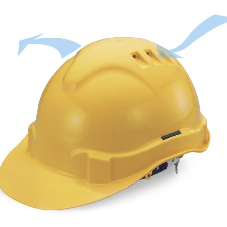 Safety helmet, proguard